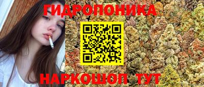 ешки Тверь