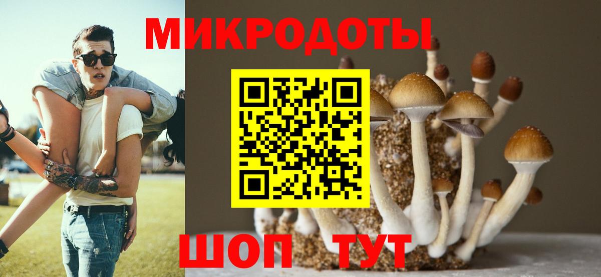 Геленджик  наркотики  Вход с VPN  Псилоцибиновые грибы MAGIC MUSHROOMS 